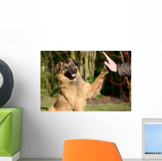 High Five Doggo Wall Mural