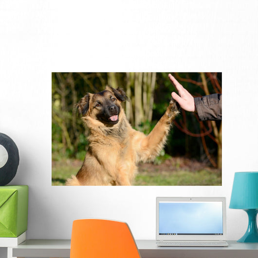 High Five Doggo Wall Mural