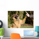 High Five Doggo Wall Mural