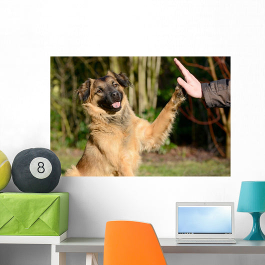 High Five Doggo Wall Mural