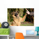 High Five Doggo Wall Mural
