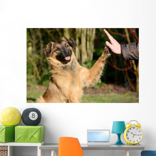 High Five Doggo Wall Mural