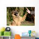 High Five Doggo Wall Mural