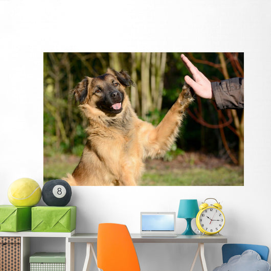 High Five Doggo Wall Mural