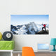 I've finally reached the summit! Wall Mural