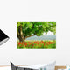 Poppy's field and big green tree Wall Mural