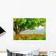Poppy's field and big green tree Wall Mural