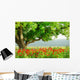 Poppy's field and big green tree Wall Mural