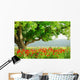 Poppy's field and big green tree Wall Mural