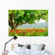 Poppy's field and big green tree Wall Mural