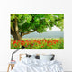 Poppy's field and big green tree Wall Mural