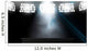 Spotlit Stage Wall Mural