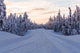 Winter Landscape Road In Lapland Wall Decal