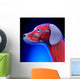 Dog Muscles Anatomy - Anatomy Wall Decal
