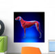 Dog Muscles Anatomy Muscular Wall Decal