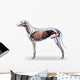 Dog Internal Organs Anatomy - Anatomy of a Male Dog Internal Org Wall Decal