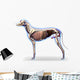 Dog Internal Organs Anatomy - Anatomy of a Male Dog Internal Org Wall Decal