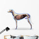 Dog Internal Organs Anatomy - Anatomy of a Male Dog Internal Org Wall Decal