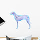 Dog Skeleton Anatomy - Anatomy Wall Decal