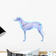 Dog Skeleton Anatomy - Anatomy Wall Decal
