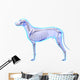Dog Skeleton Anatomy - Anatomy Wall Decal