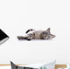 Striped Blue-eyed Cat Lies Wall Decal