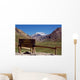 aconcagua Wall Mural