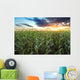 Corn field Wall Mural