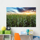 Corn field Wall Mural
