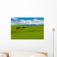 Mt. Ruapehu and fields Wall Mural