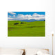 Mt. Ruapehu and fields Wall Mural