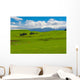 Mt. Ruapehu and fields Wall Mural