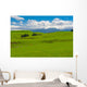 Mt. Ruapehu and fields Wall Mural