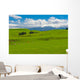 Mt. Ruapehu and fields Wall Mural