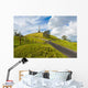 One Tree Hill Wall Mural