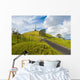One Tree Hill Wall Mural