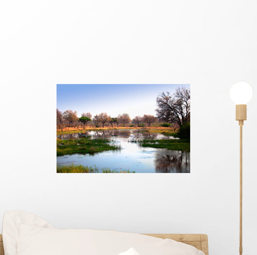 African water reflection Wall Mural