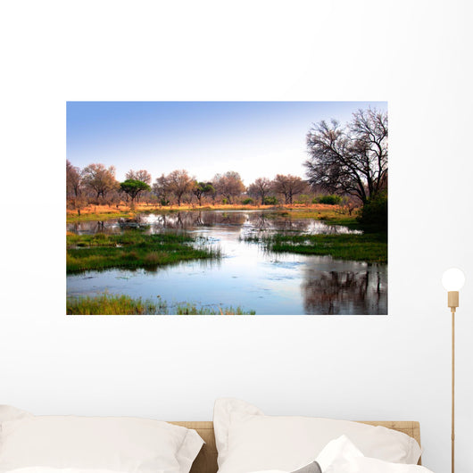 African water reflection Wall Mural