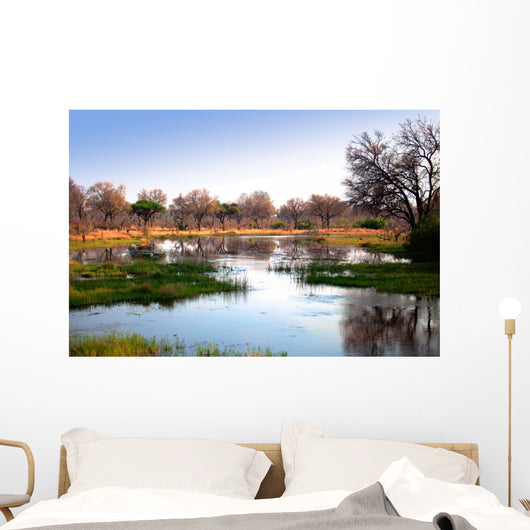 African water reflection Wall Mural