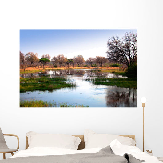 African water reflection Wall Mural