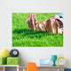 Family relaxing on the grass Wall Mural