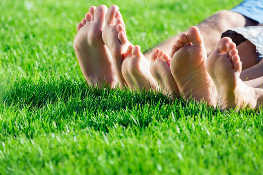 Family Relaxing On The Grass Wall Decal 3