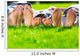 Family relaxing on the grass Wall Mural