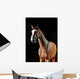 Bay Horse Stallion Portrait Wall Decal