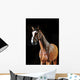 Bay Horse Stallion Portrait Wall Decal