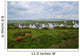 West Coast Ireland Spring Wall Decal