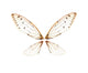 Insect Cicada Wall Decal