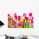 Flowers Tulips Wall Decal