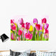 Flowers Tulips Wall Decal