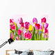 Flowers Tulips Wall Decal